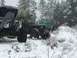 1995 Jeep YJ - Two Jeeps are parked in a snowy wooded area, with one appearing to have a Christmas tree loaded on top.