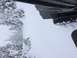 1995 Jeep YJ - A vehicle navigates a snowy path, with trees covered in snow visible on the left.