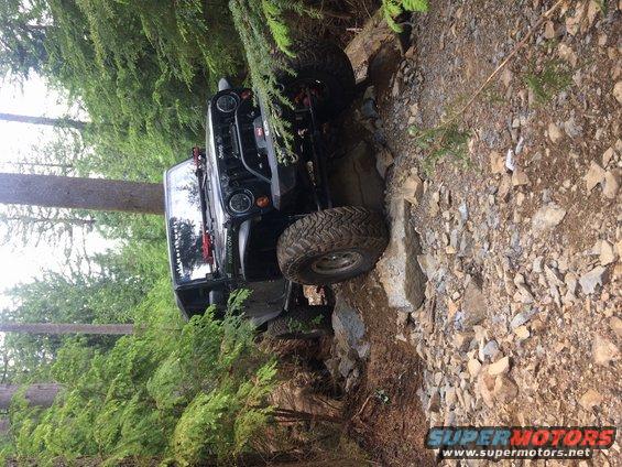 Black Jeep Wrangler navigating a rocky, wooded trail