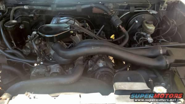 Engine bay with hoses, belts, and engine components visible