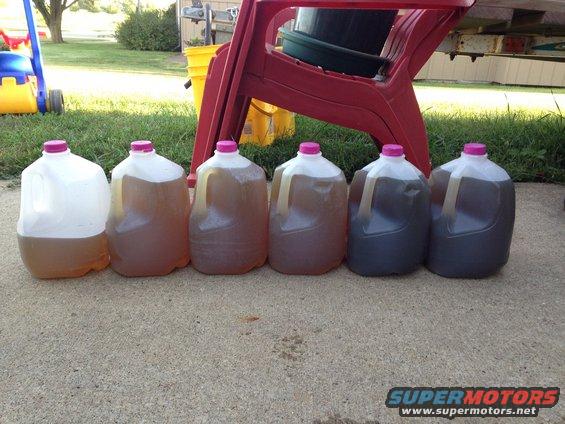Six plastic jugs with pink caps containing liquids of varying colors and levels, lined up on a concrete surface