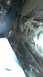 1996 Ford Bronco - FID affected area.