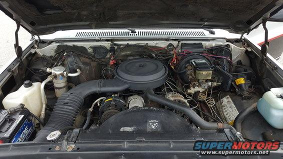 Engine bay with V8 engine, air intake, battery, and hoses