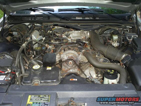 s5031252.jpg The 4.6 liter engine before installation of Edelbrock intake manifold and BBK 78mm throttle intake.