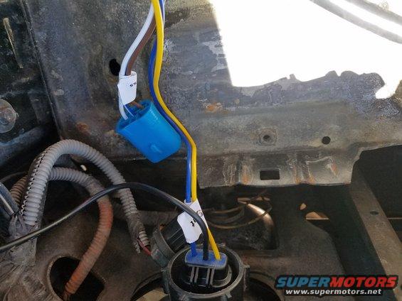 close-up of vehicle headlight wiring with blue connectors and yellow, blue, and white wires