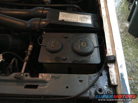 Engine bay with coolant and washer fluid reservoirs, hoses visible