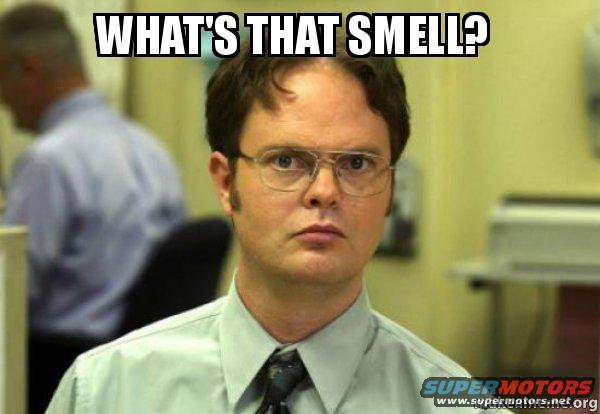 Dwight Schrute with a confused expression, text above reads "WHAT'S THAT SMELL?"