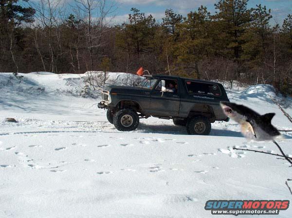 Dark green 1978 Ford Bronco driving in snow, with a shark graphic in the foreground
