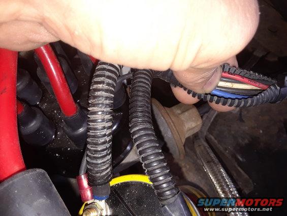 Hand holding a bundle of wires in a vehicle's engine bay, showing spark plug wires and a battery terminal