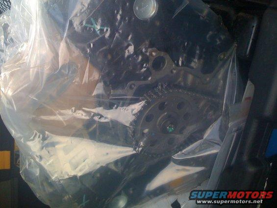Engine timing chain and gears covered in plastic