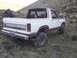 1984 Ford Bronco