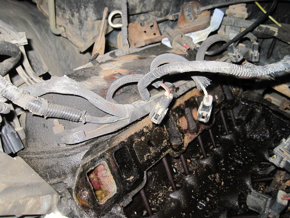 Close-up of an engine's intake manifold with wiring harnesses disconnected
