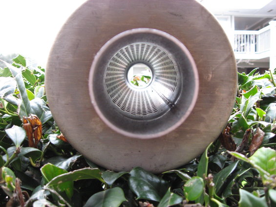 Close-up of an exhaust tip showing the perforated baffle inside, resting on green foliage