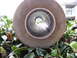 1987 Jaguar XJ6 - This is a close-up view of an exhaust tip with a perforated baffle, set against a backdrop of green leaves.