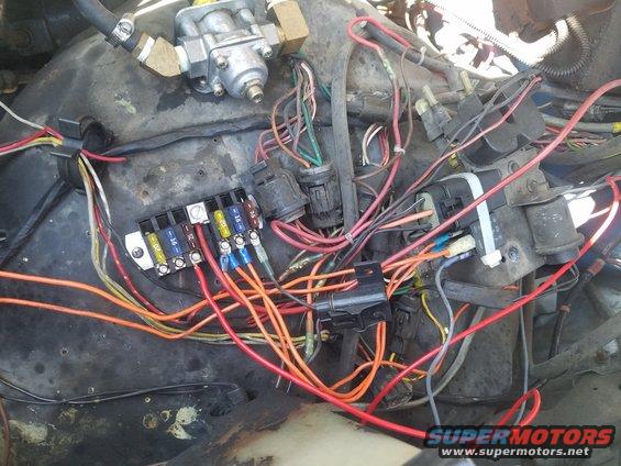 Engine wiring harness and fuse box with orange and red wires