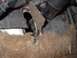 IM003154.JPG
