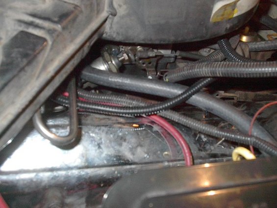 Engine bay with fuel lines and wiring harness