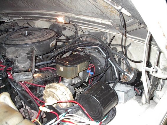 Engine bay with various wires, hoses, and engine components visible