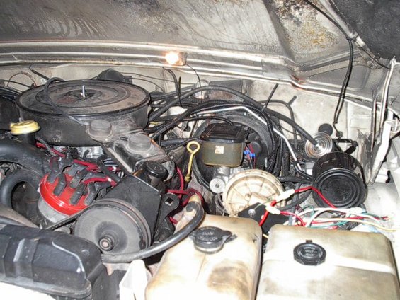 Engine bay with air cleaner, distributor, and brake fluid reservoir