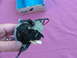 1967 Mercury Cougar - 1967 cougar headlight vacuum solenoid switch