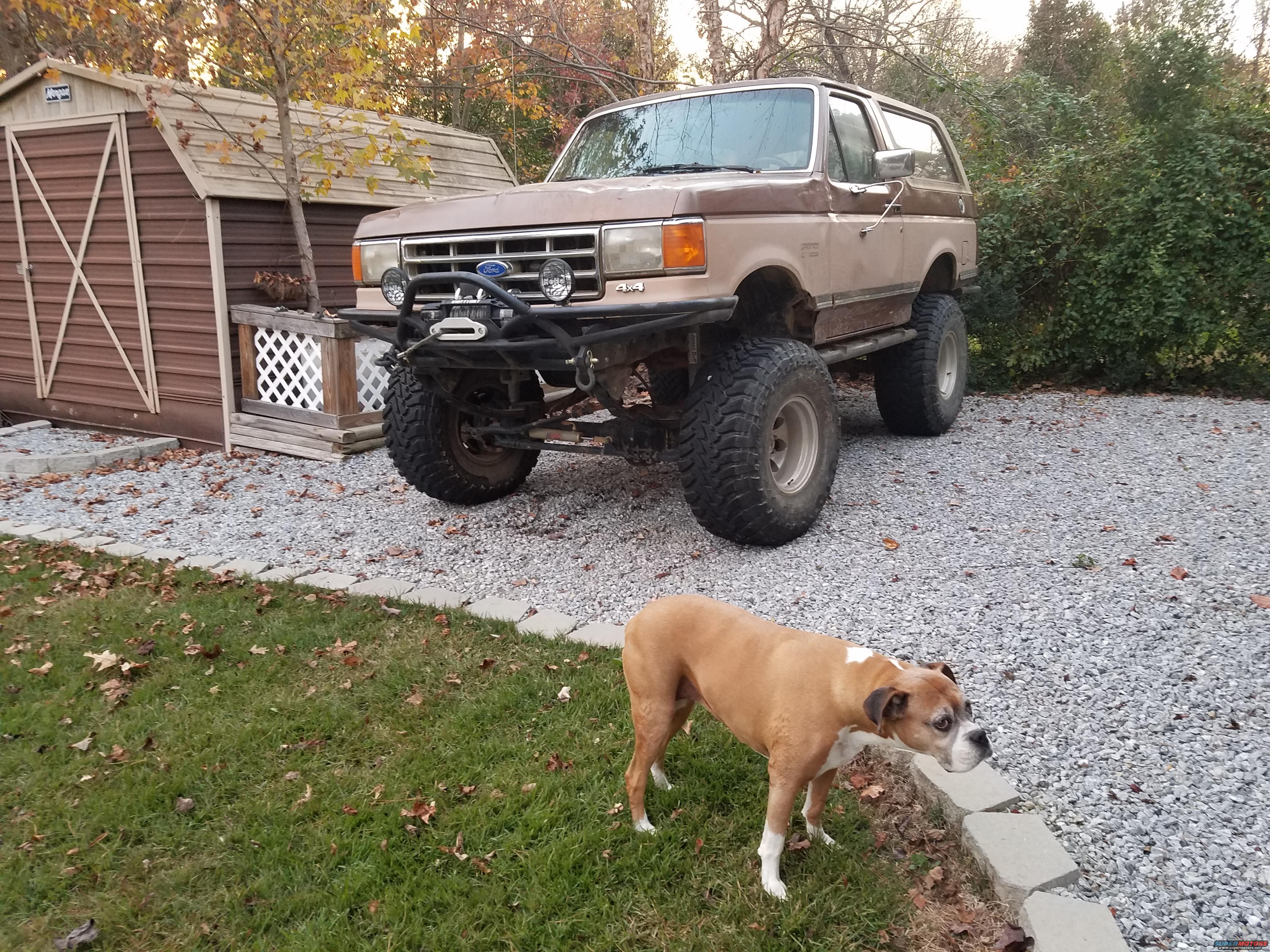 1988 Ford Bronco photo