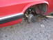 IMG_9498.JPG