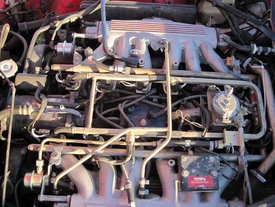 Engine bay detail showing fuel rail, injectors, distributor cap, and intake manifold