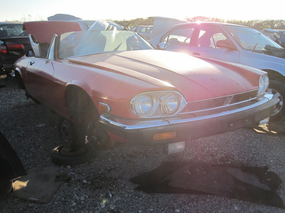 Red 1985 Jaguar XJ6 convertible front 3/4 view in junkyard