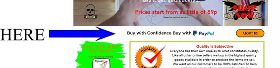 Website screenshot with text and graphics, including a skull logo and PayPal button
