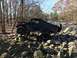 1989 Ford Bronco - Modified black SUV navigates a rocky terrain with a snorkel and spare tire visible.