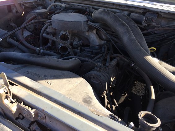 Engine bay with large hoses and carburetor