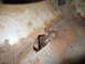 1967 Ford F-250 - The interior floor pan of a 1967 Ford F-250 shows extensive rust damage and a large hole.