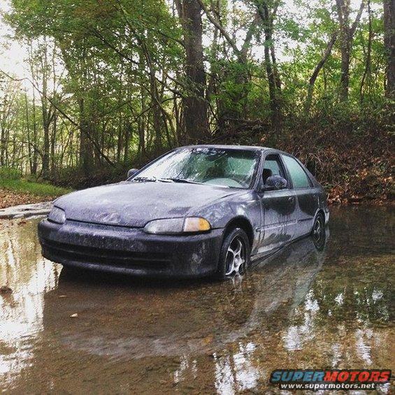 Dark sedan partially submerged in a stream with trees in the background