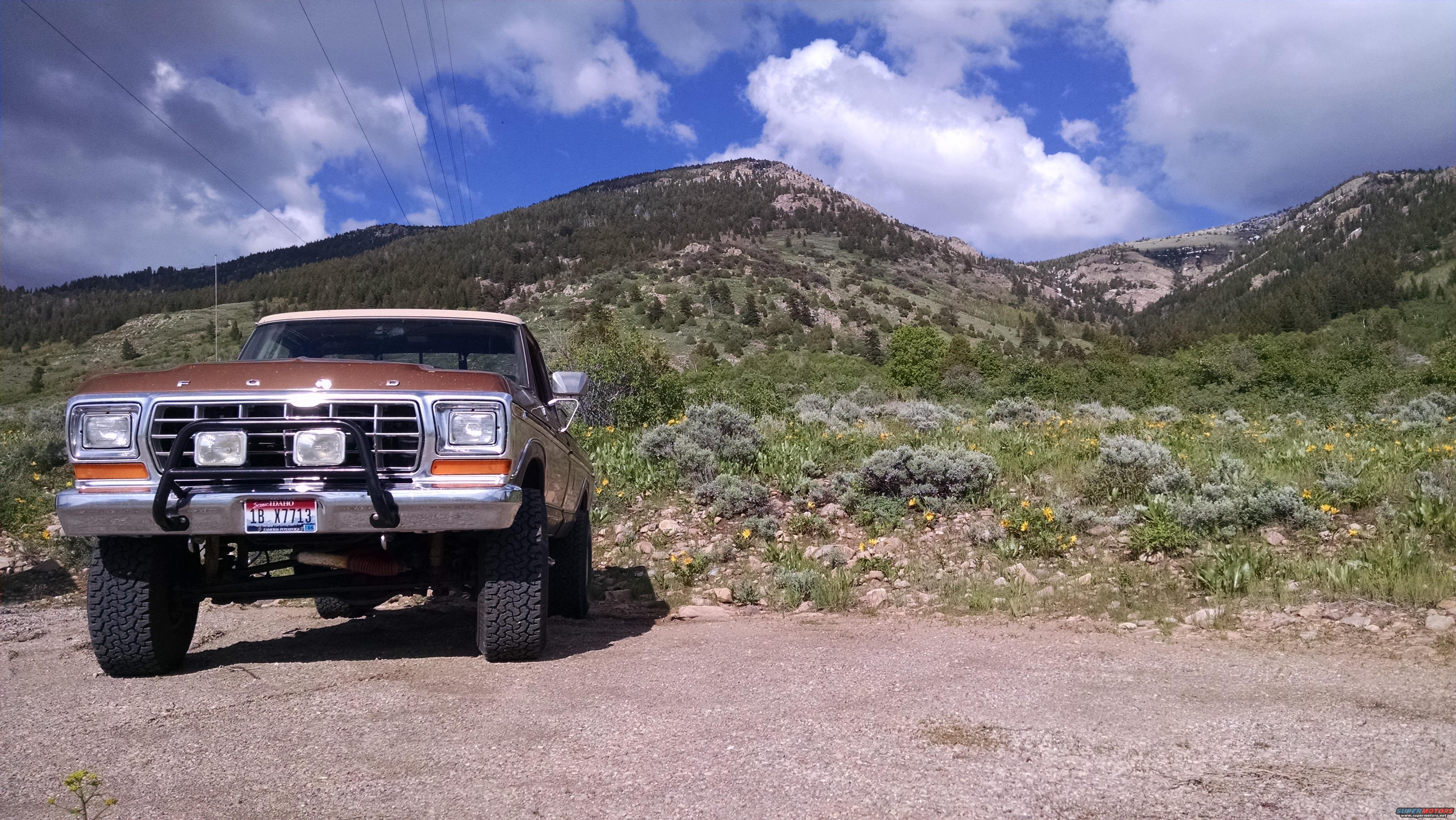 1979 Ford F-150 photo