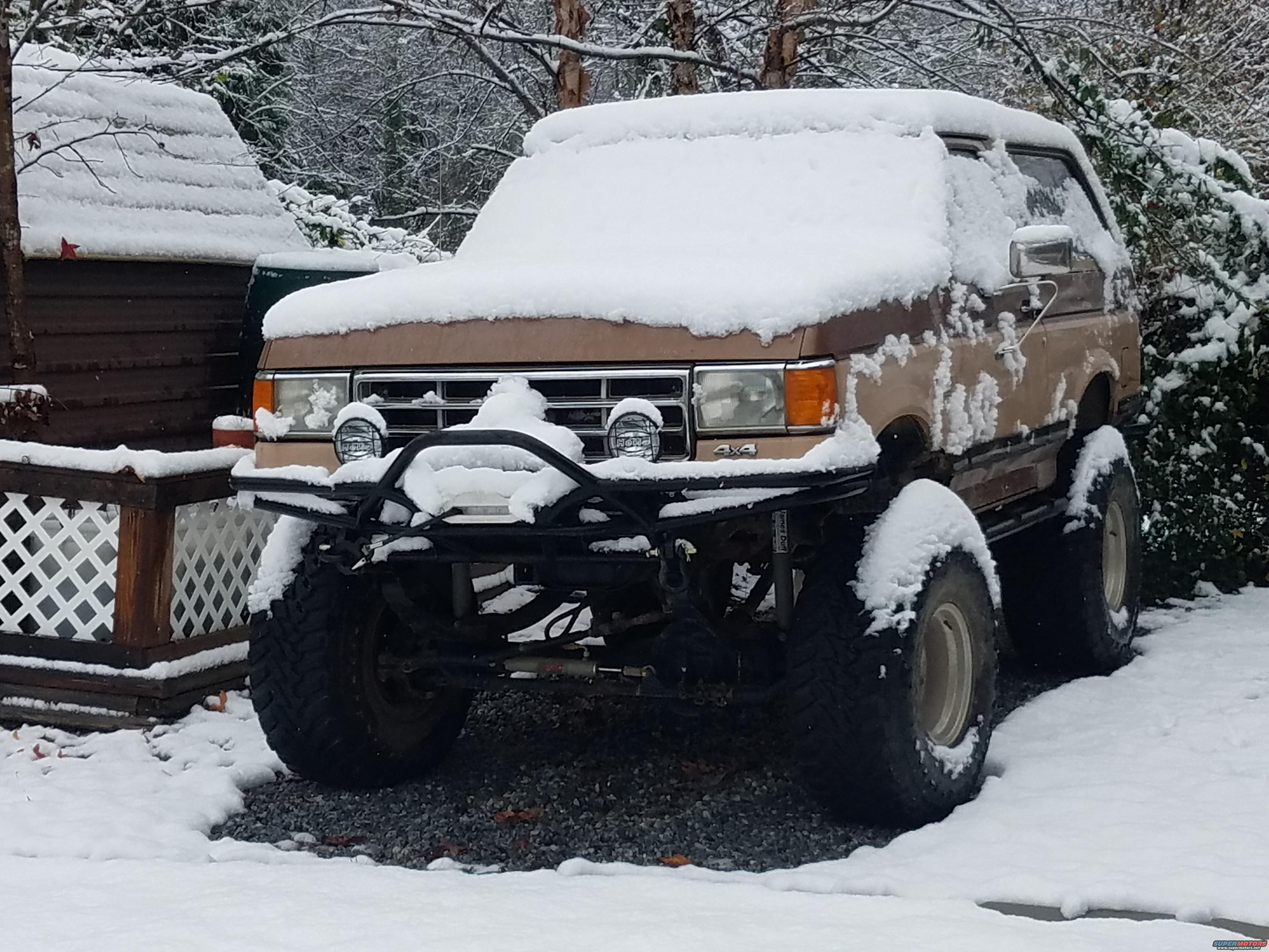 1988 Ford Bronco photo