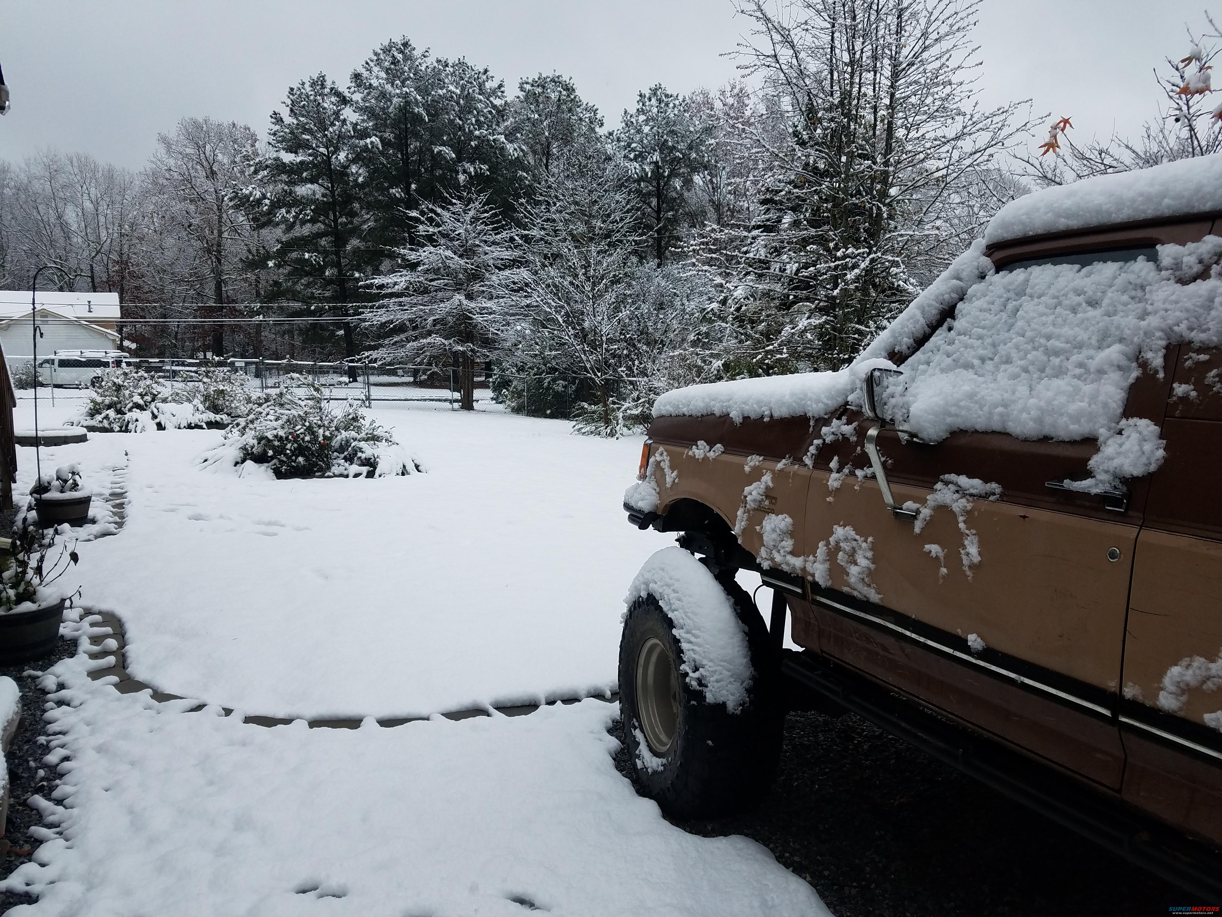 1988 Ford Bronco photo