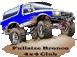 1989 Ford Bronco photo