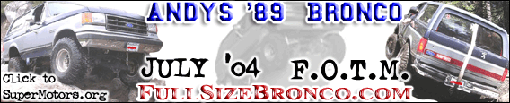 1989 Ford Bronco photo