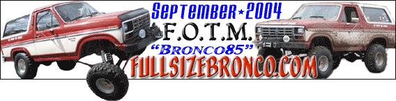 1989 Ford Bronco photo