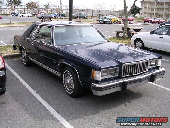 picture-002.jpg A nice shot