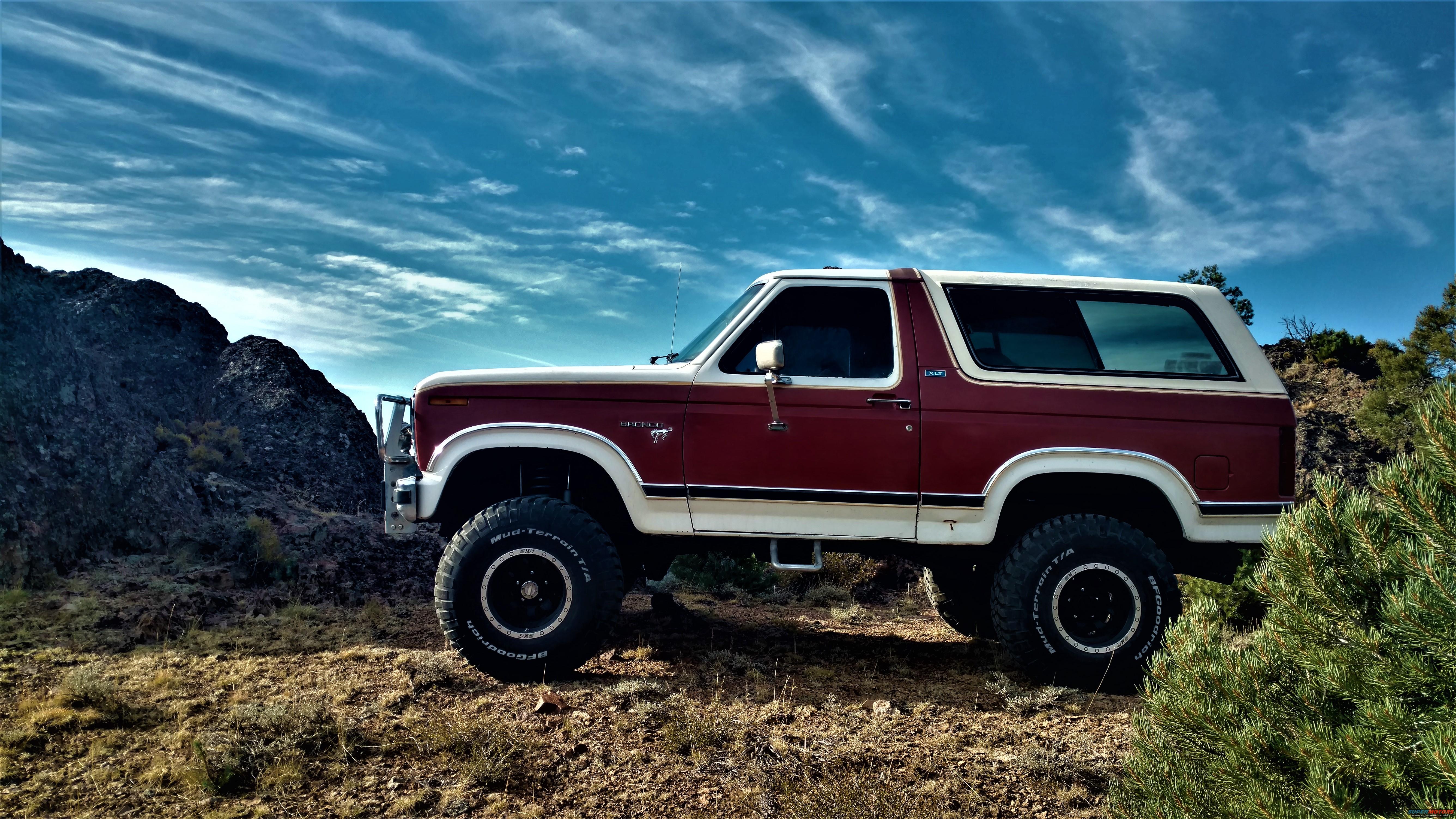 1981 Ford Bronco