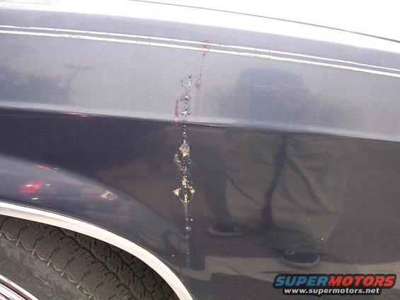 picture-001.jpg only rust on the car