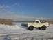1979 Ford Bronco