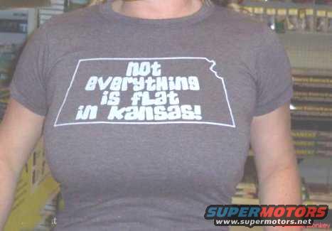 Gray t-shirt with white text that says 'not everything is flat in Kansas!' inside a Kansas outline