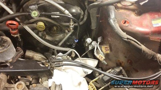 Close-up of brake lines and hoses in a car's engine bay. Labels 'RR' and 'LR' are visible