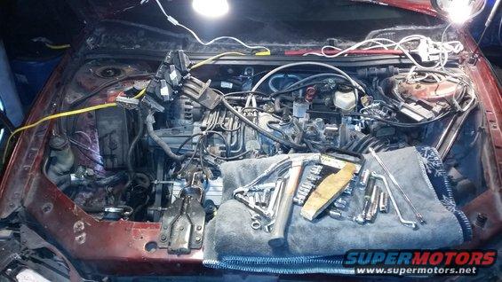 Red car engine bay with tools laid out on a blue towel. Wires and engine components are visible