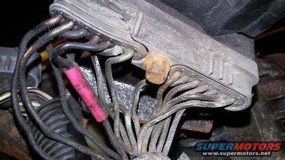 Engine wiring harness with pink electrical tape
