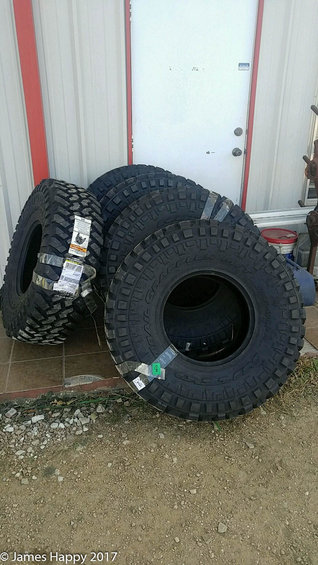 27707658_10210800802440606_250352241_o.jpg they're here!