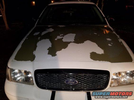 Front view of a white 2003 Ford Crown Victoria with peeling paint on the hood
