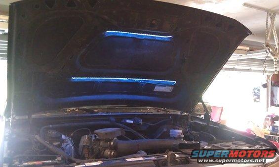 Underhood Lighting